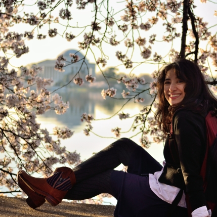 Sweet Krystal enjoying the cherry blossoms in DC